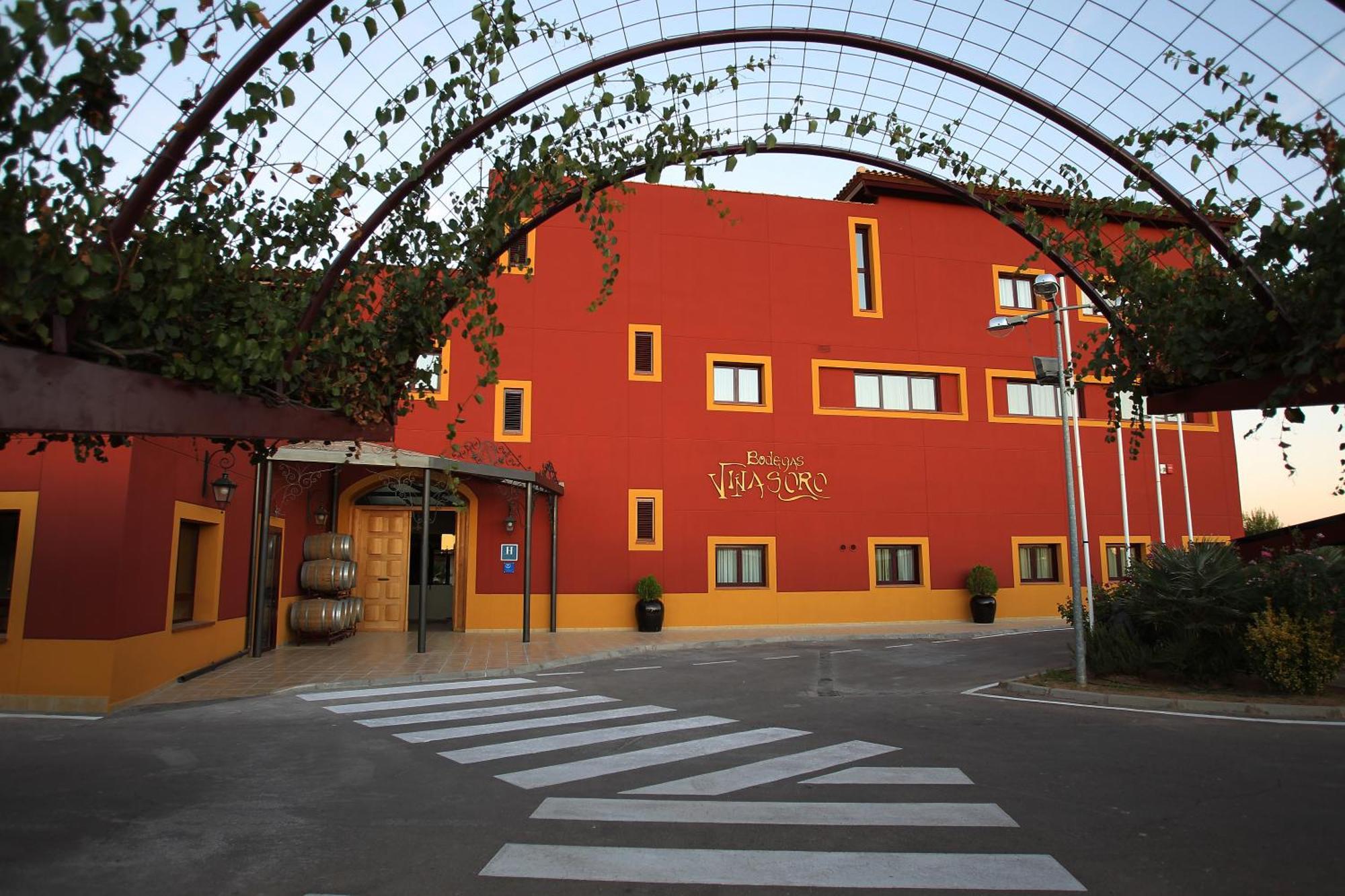 Hotel Chateau Vinasoro Alcazar de San Juan Exterior photo